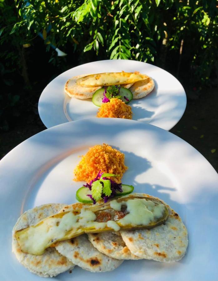 Haus 35 Bed and Breakfast Weligama Eksteriør billede